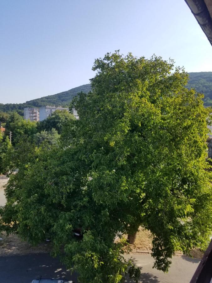 Retro Apartment Malko Tŭrnovo Eksteriør billede